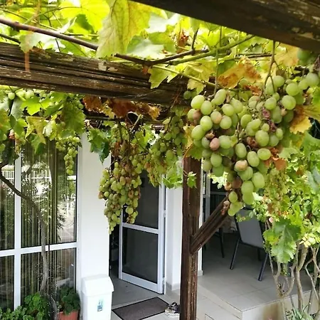 яна Holiday home Sveti Vlas