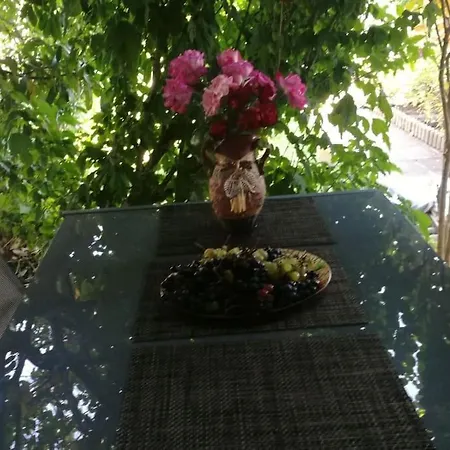 яна Dom wakacyjny