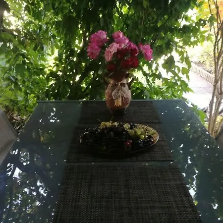 яна * Święty Włas